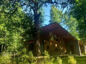 Hermosa Casa en Condominio Villarrica-Pucon